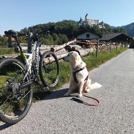 Ciao-aschau Haus Zur Burg Apn21 Kraemer Apartamento Aschau im Chiemgau